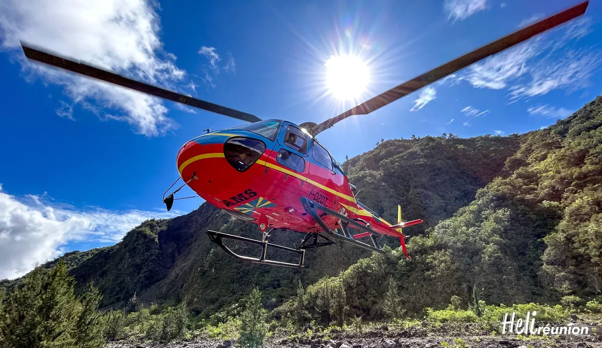 agence location voiture dayz saint denis