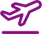 icon__0001_plane-purple